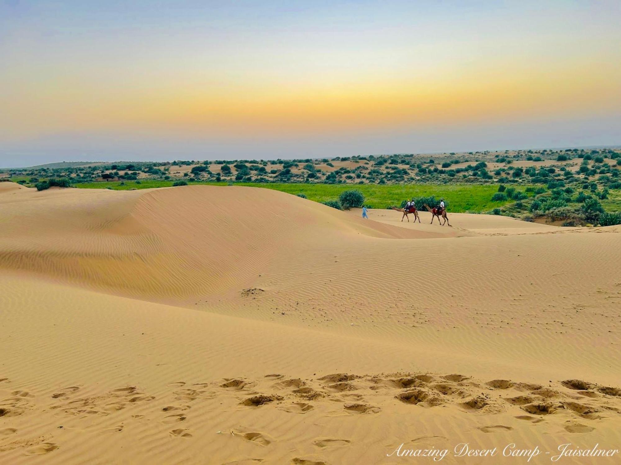 Amazing Desert Camp Jaisalmer Exterior foto